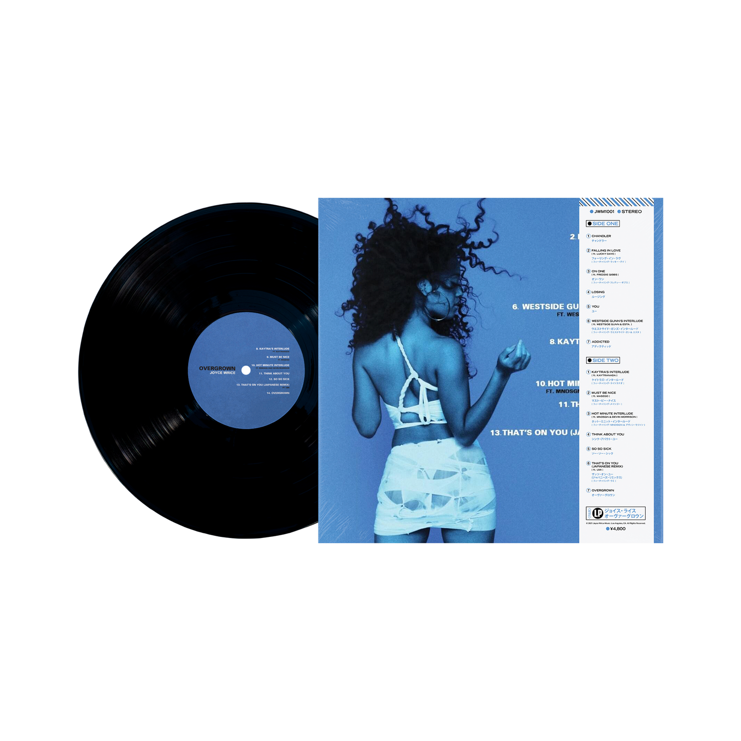 Overgrown Anniversary Edition (LP) - Black Vinyl